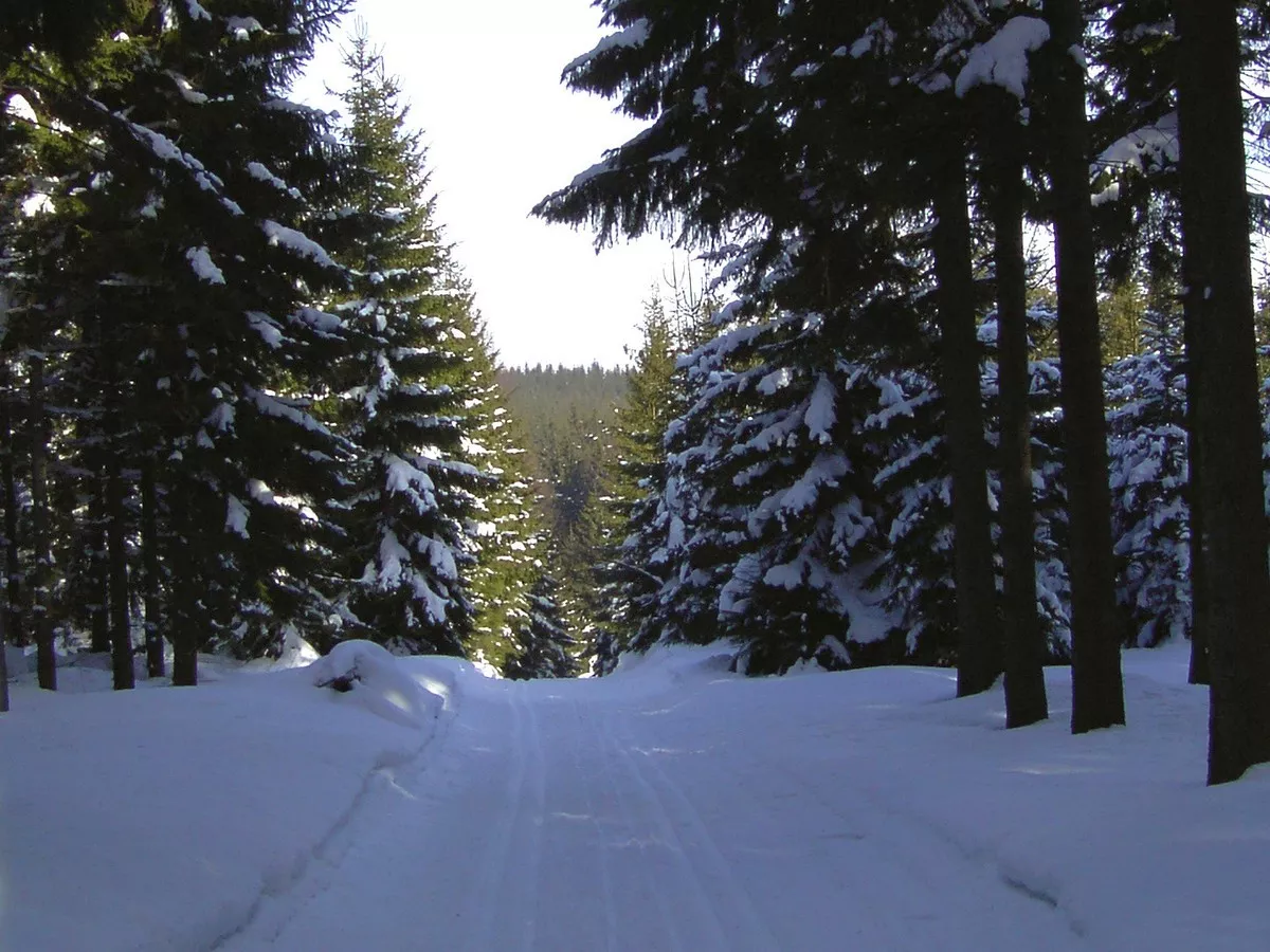 Loipe auf dem Firstenweg bei Neudorf / Siebensäure
