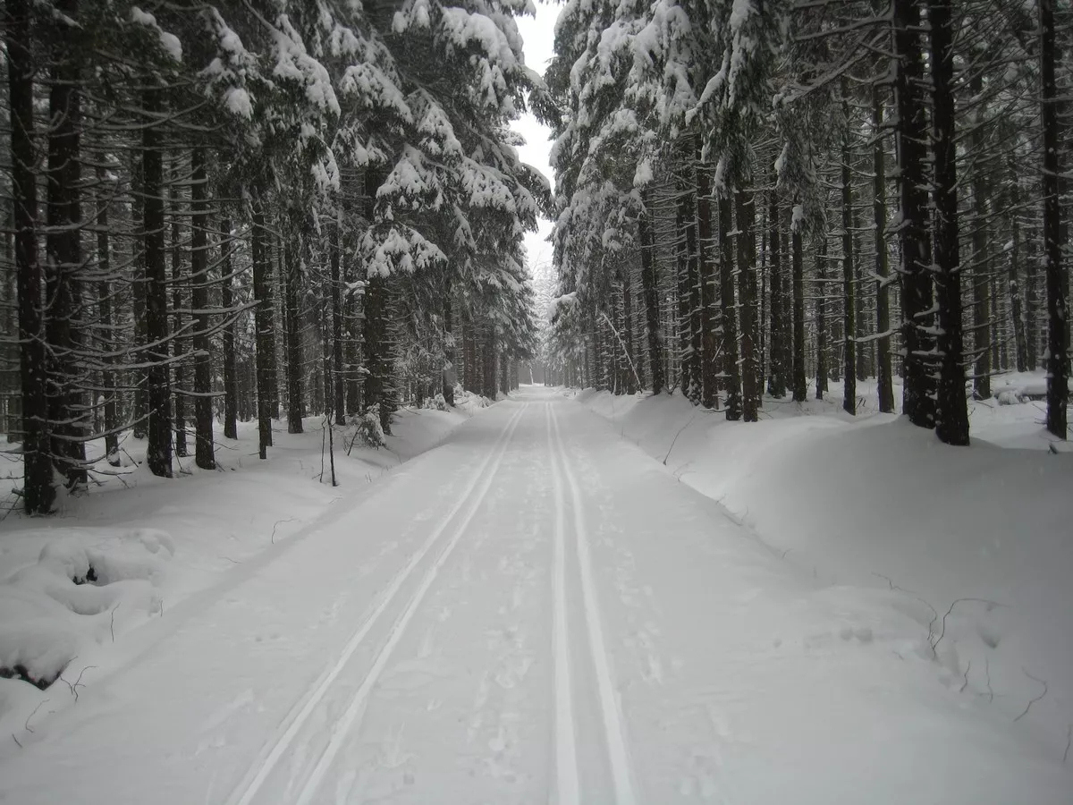 Loipengebiet Neudorf