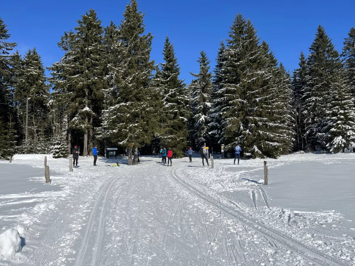 Loipe_NoveHamry1 Skimagistrale Jeleni Rolava