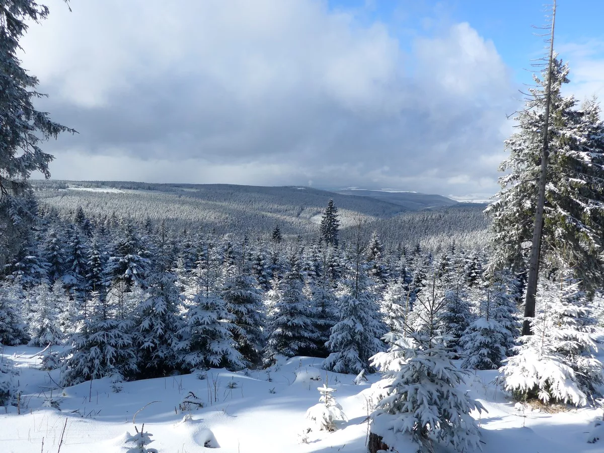 Loipengebiet Oberwiesenthal