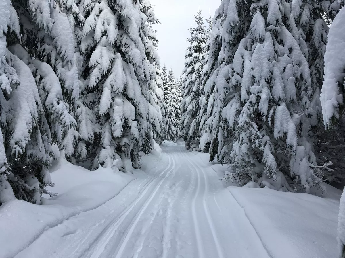 Loipe von Abertamy ins Loipengebiet Bozi Dar