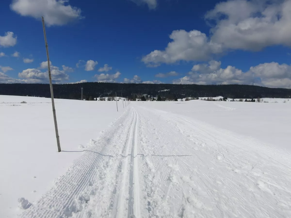 Loipe Pernink – Abertamy auf dem Feld