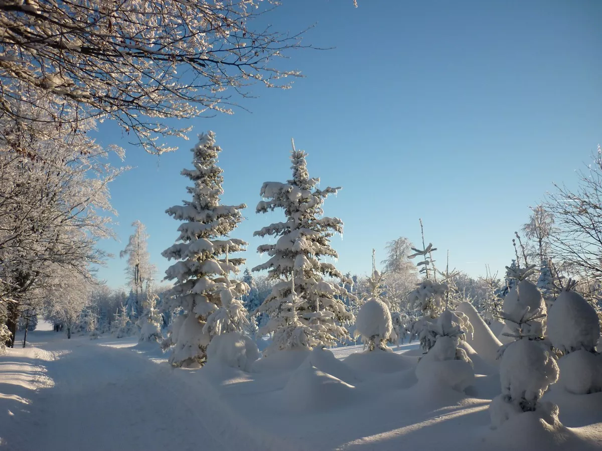 Winterlandschaft bei Satzung