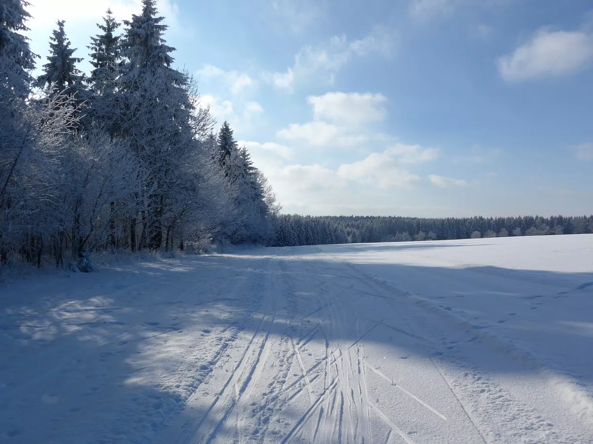 Kreuztannenloipe am Waldrand entlang