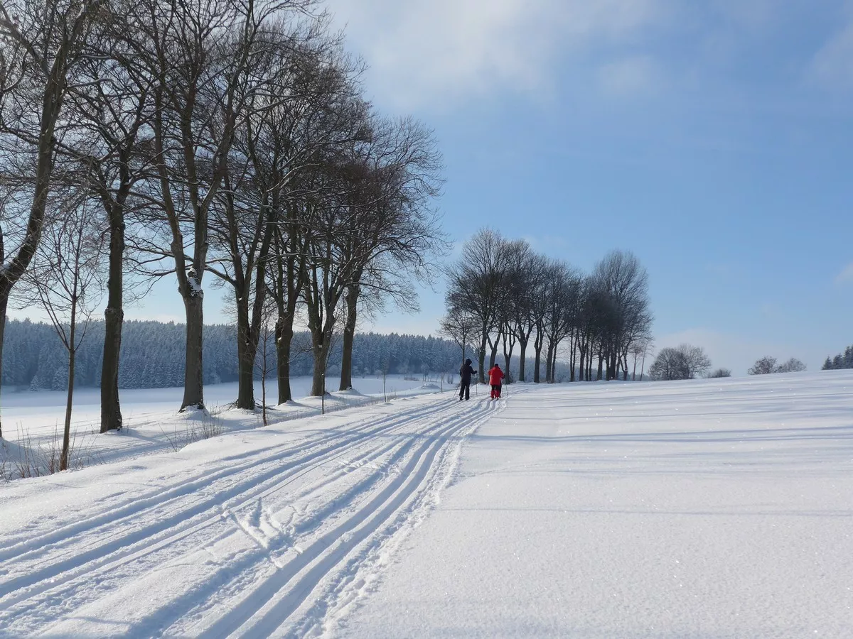 Loipe Cämmerswalde - Kreuztanne entlang der Kreuztannenstraße