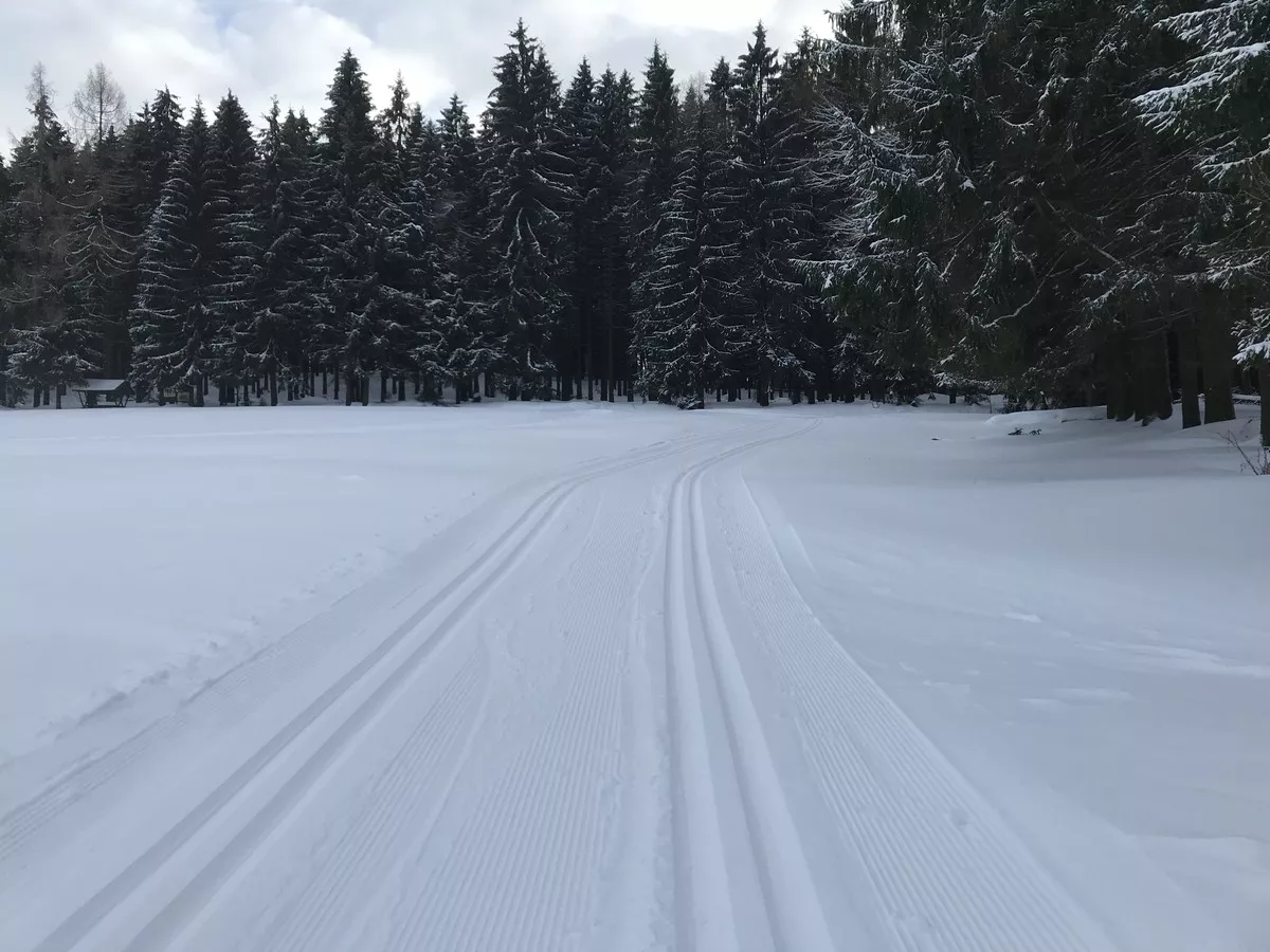 Oberhalb von Stützengrün-Schädlichhäuser