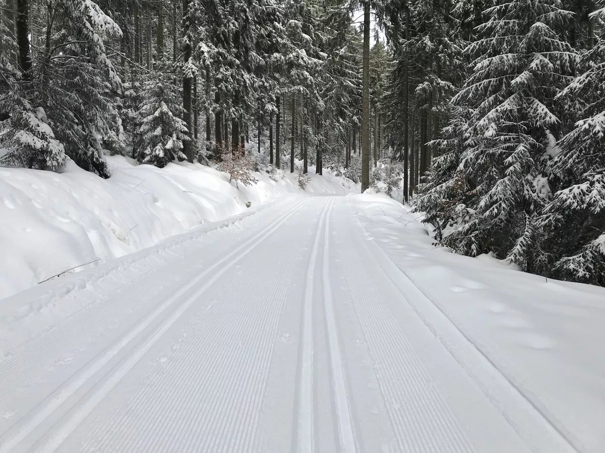 Kuhbergloipe nahe Abzweig Neuheide