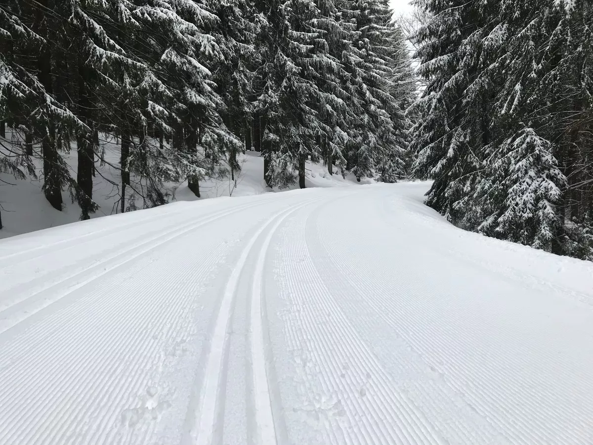 Loipe nach Schnarrtanne auf einem breiten Forstweg