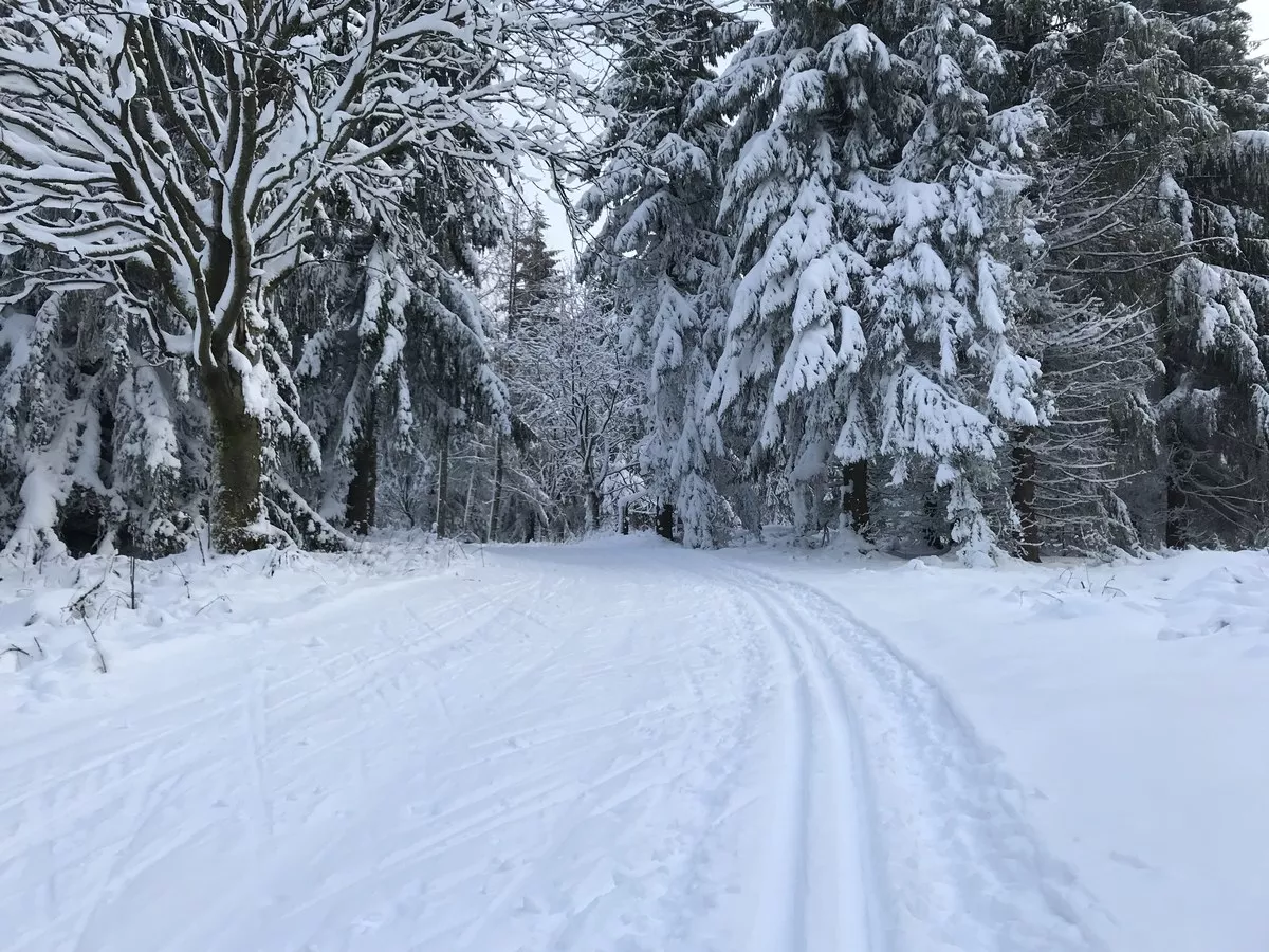 Loipe_Seiffen6-Schwartenbergloipe-20km