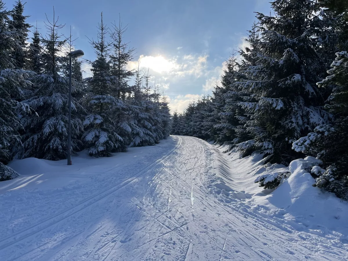 Auf dem Georgenfelder Weg nahe Biathlonpark