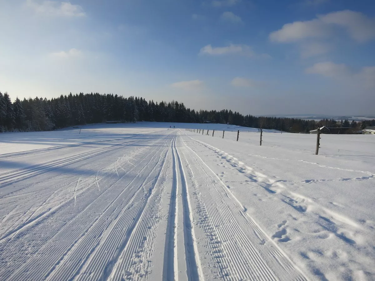 Breite Loipe am Waldsportplatz Beerheide