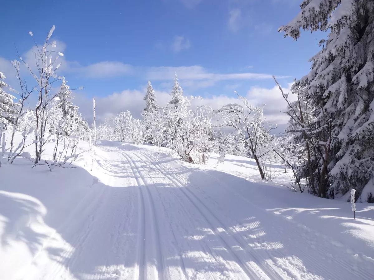 Skimagistrale2