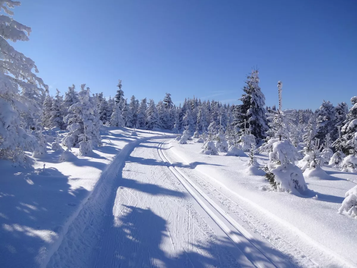 Skimagistrale4