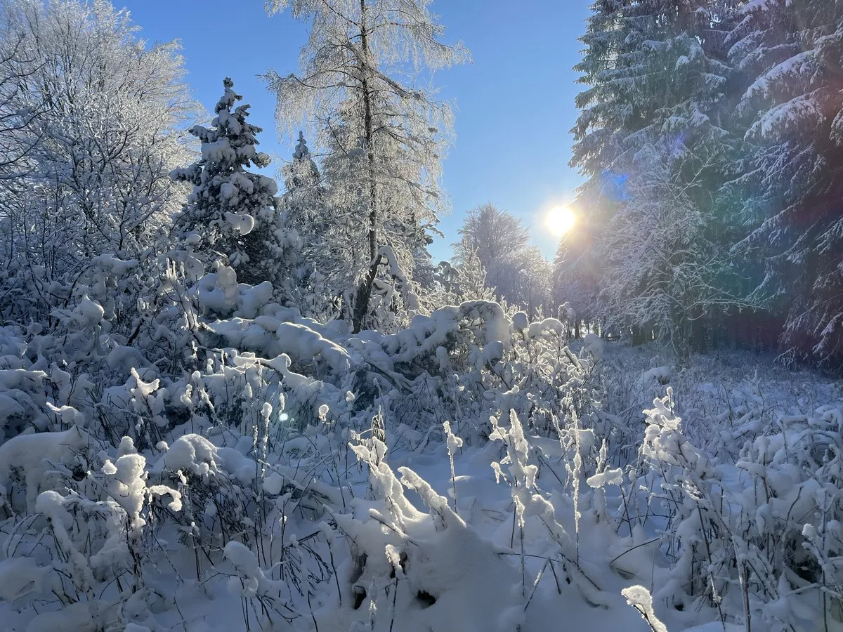 Stribrna Winterbild