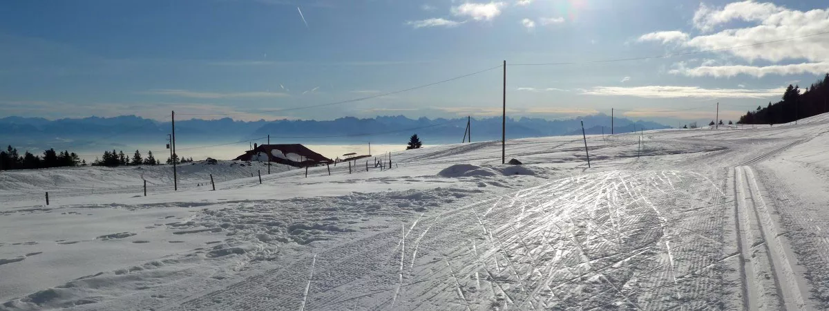 alpenpanorama-col-mollendruz