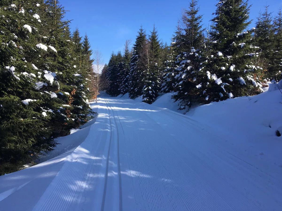 Unterhalb des 1293 Meter hohen Großen Osser