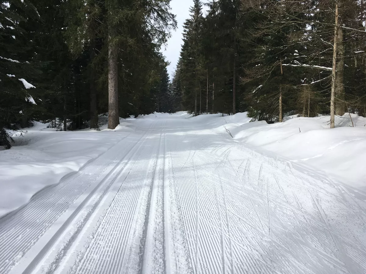 Sehr breite Loipen bei Schöneben
