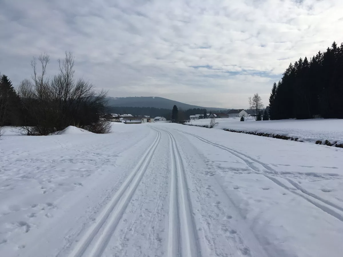 Loipe bei Haidmühle