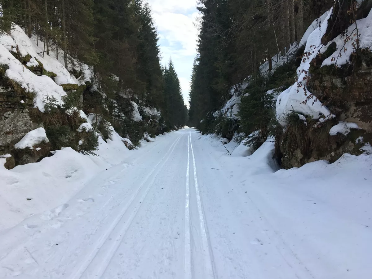 Loipe auf dem ehemaligen Bahndamm zwischen Haidmühle und Frauenberg
