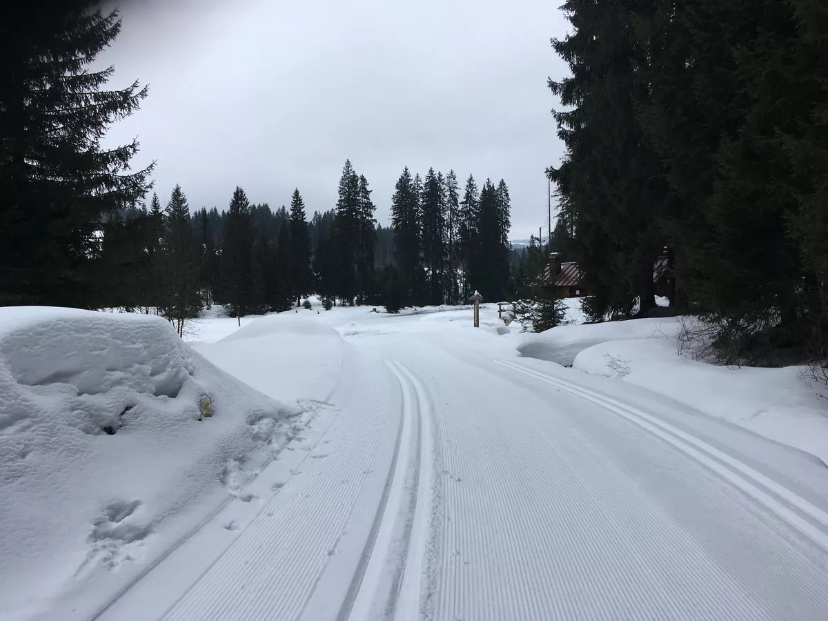 boehmerwald-62