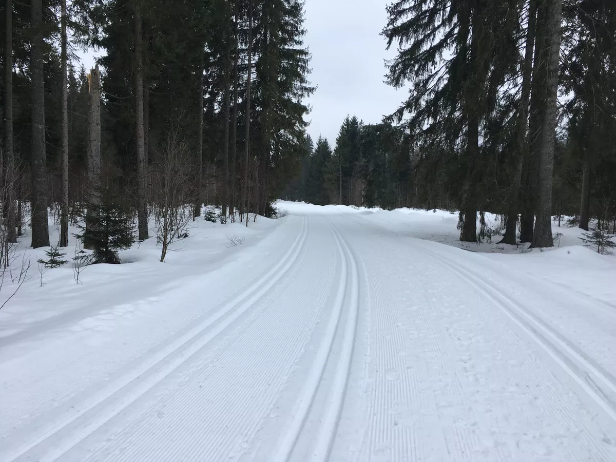 boehmerwald-64