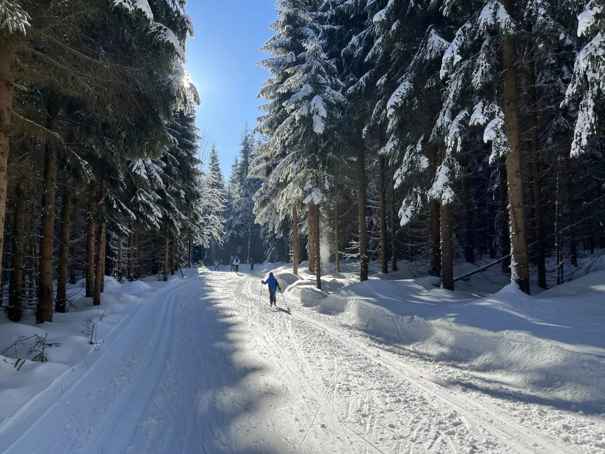 familienloipe-johanngeorgenstadt-2022-02-13