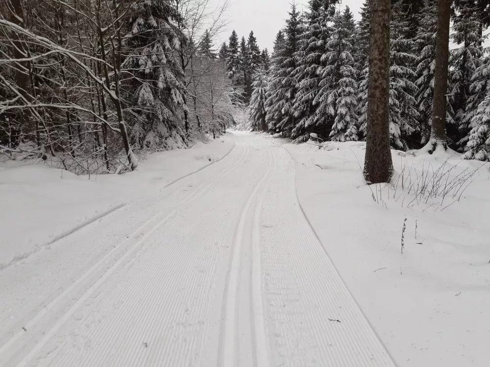 Floßgrabenloipe am Ringel bei Holzhau