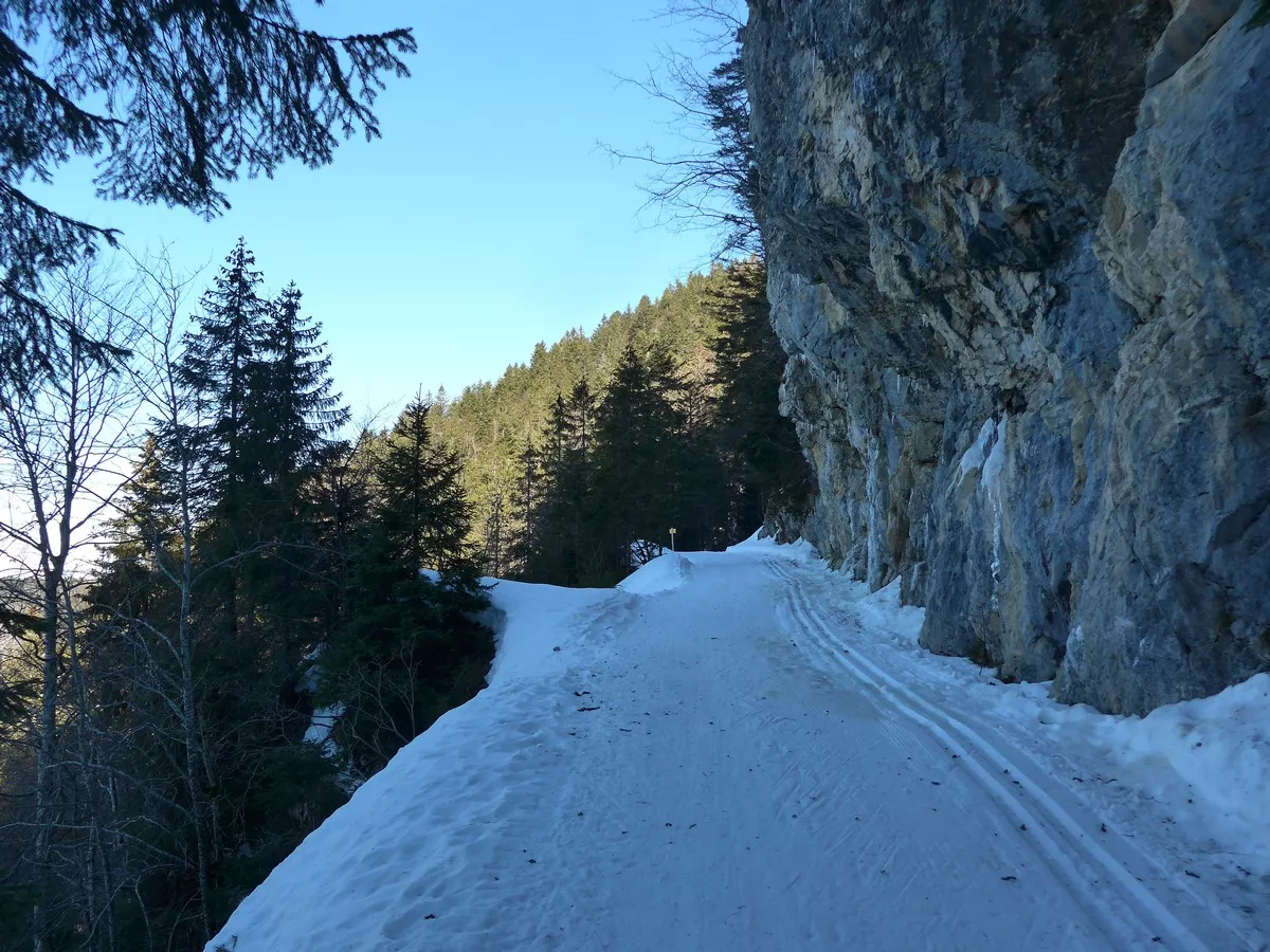 jura 53