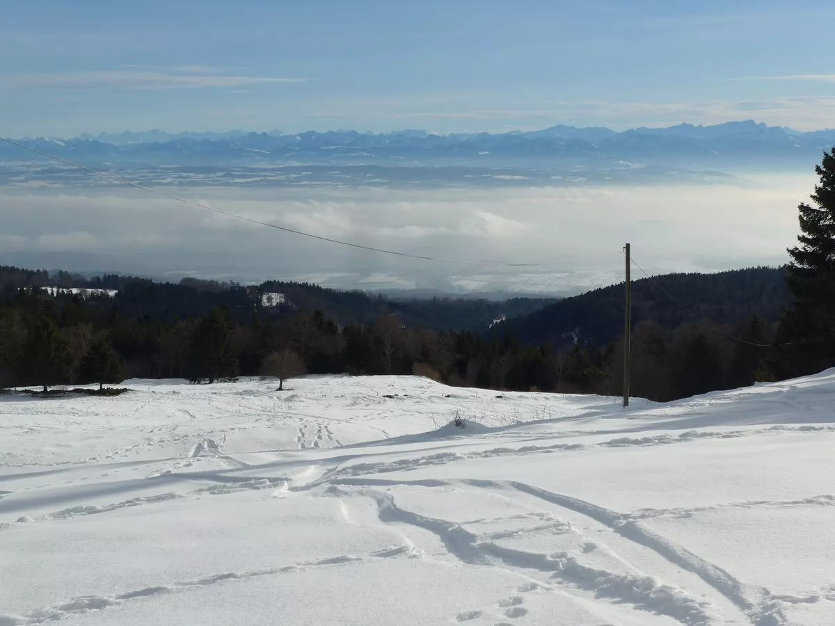 jura 69
