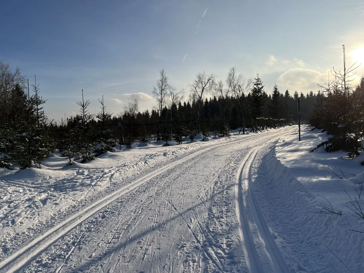 loipe-goehrener-tor-2023-02-10