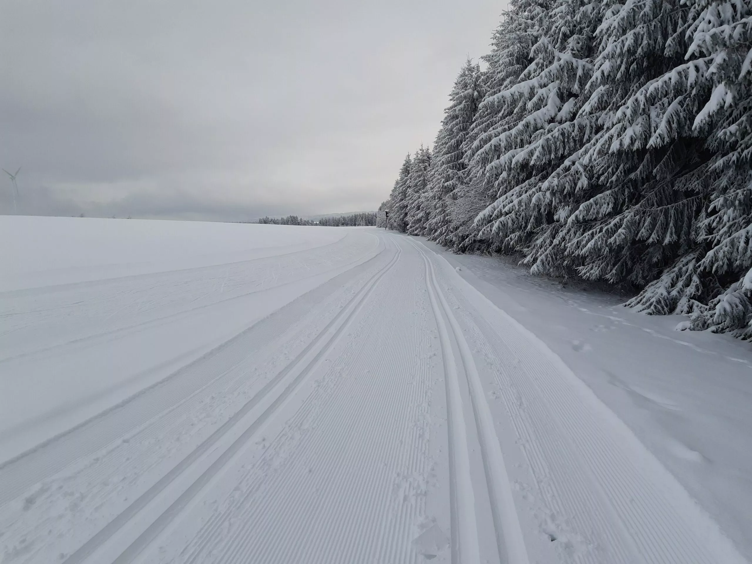 loipe-hermsdorf-2023-11-30