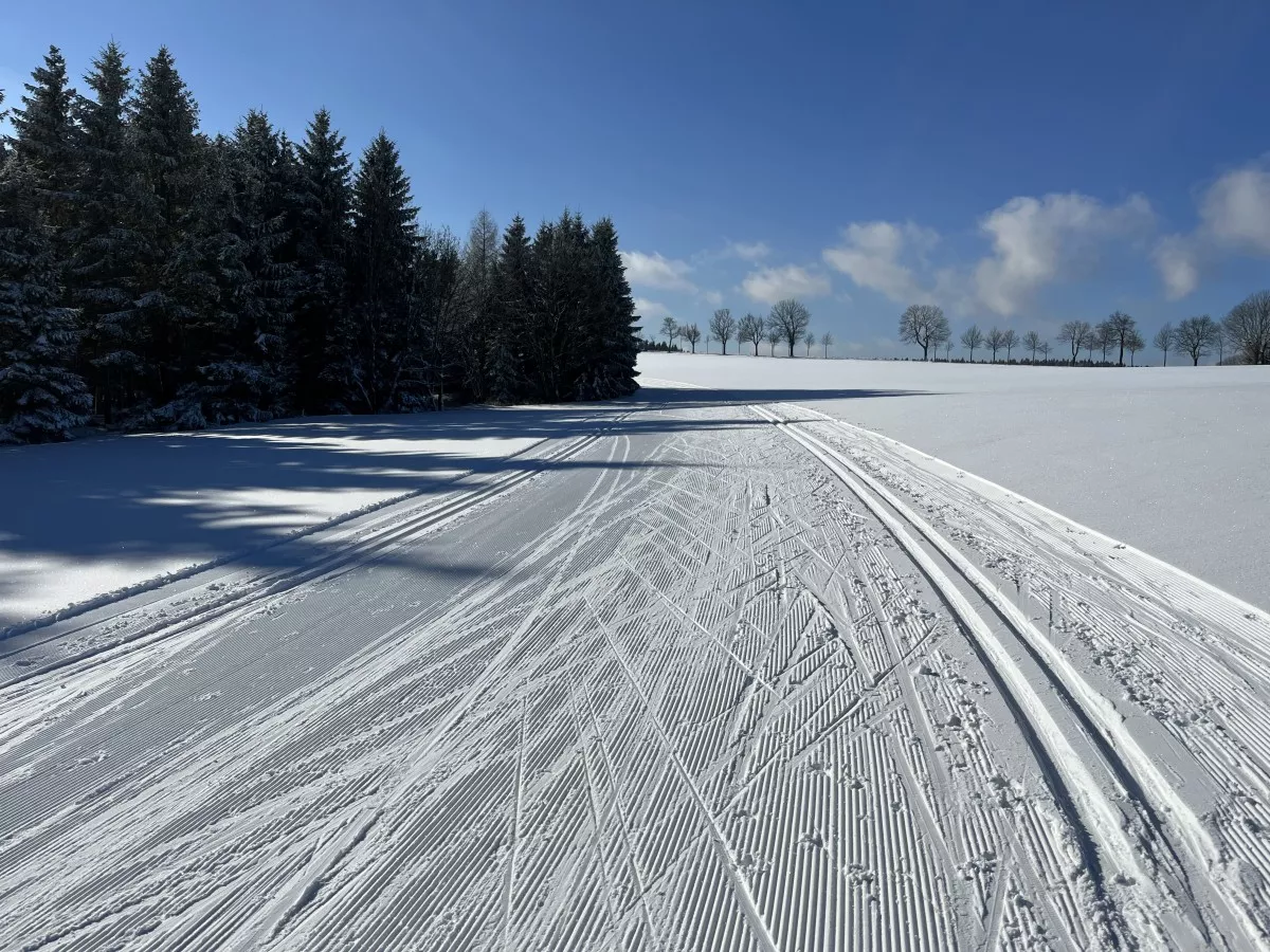 loipe-hermsdorf-neuhermsdorf-2022-02-12