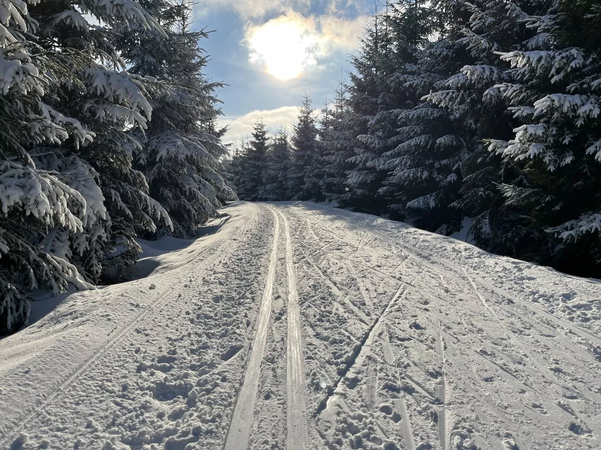 loipe-nahe-biathlonarena-2022-02-12