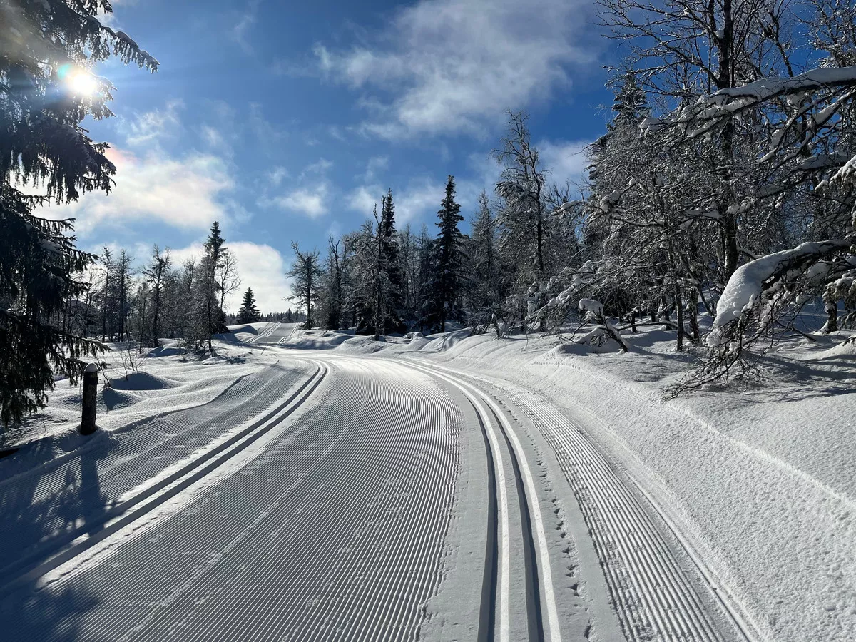 Loipengebiet Synnfjell bei Kaiserwetter