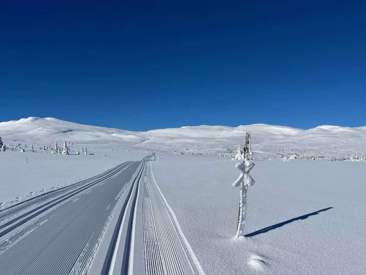 Loipengebiet Synnfjell unterhalb des Spåtinds