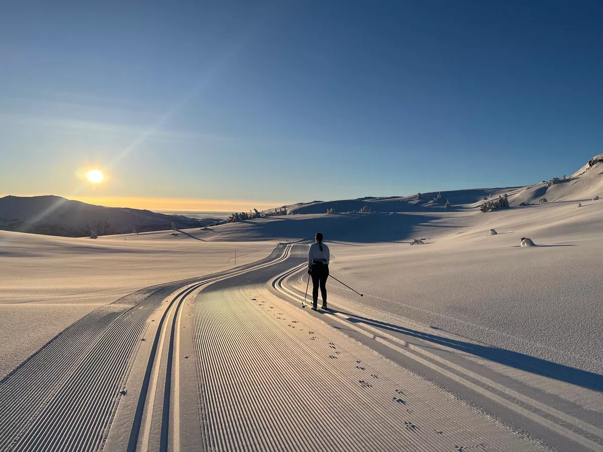 Loipengebiet Synnfjell bei traumhafter Abendsonne