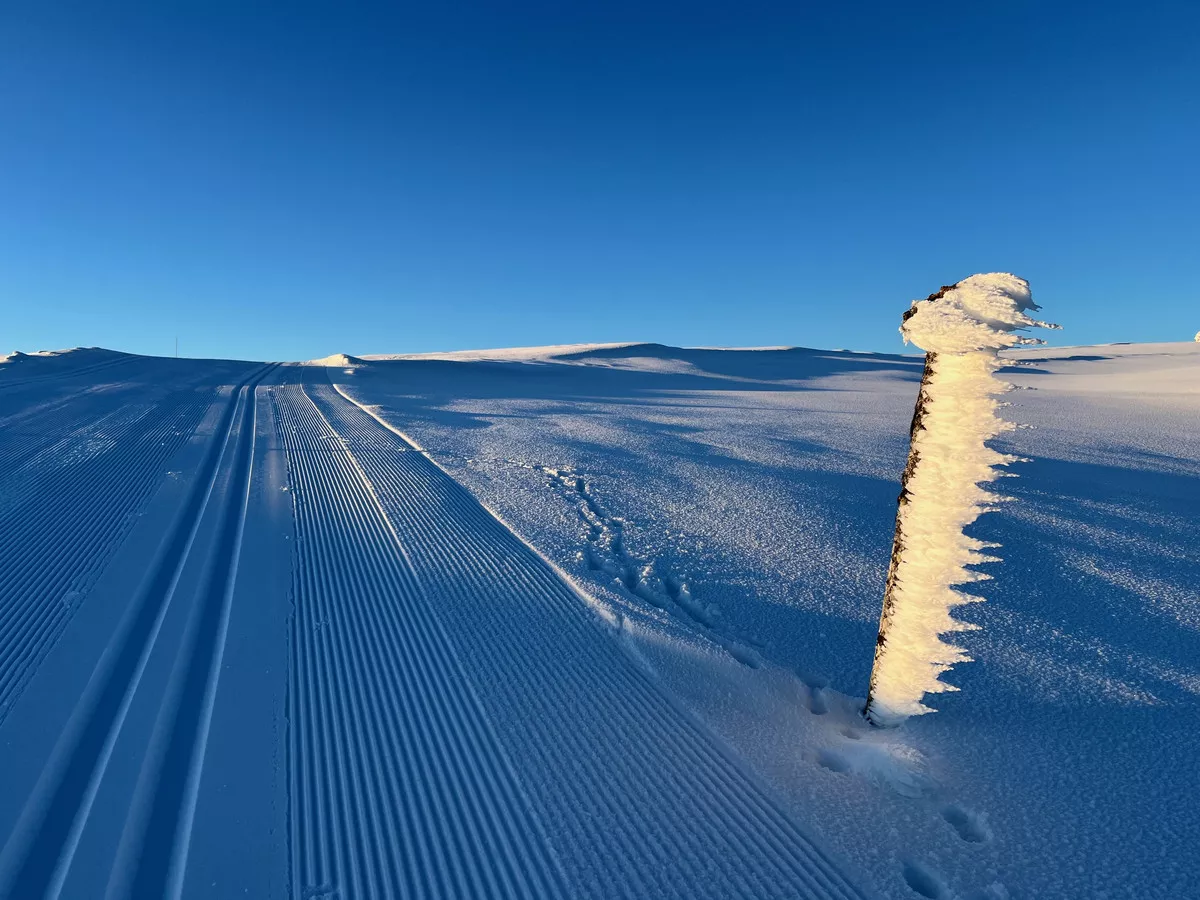 Loipengebiet Synnfjell - Skjervungfjellet