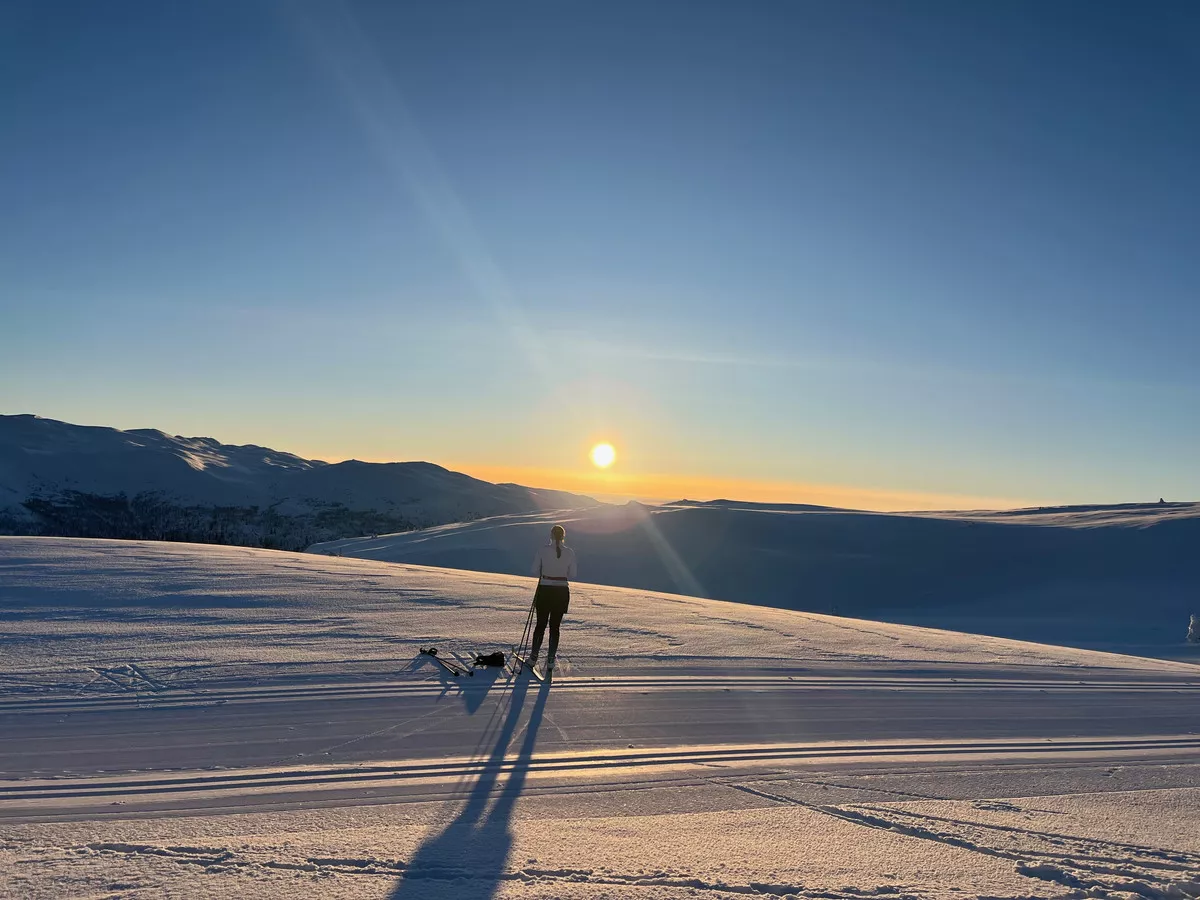 Loipengebiet Synnfjell - Skjervungfjellet