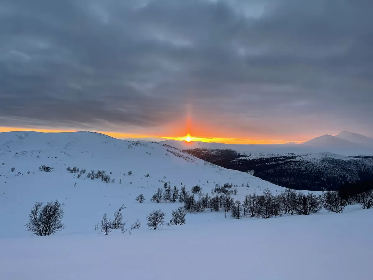 Loipengebiet Høvringen mit Abendsonne, rechts der Berg Blåhøe