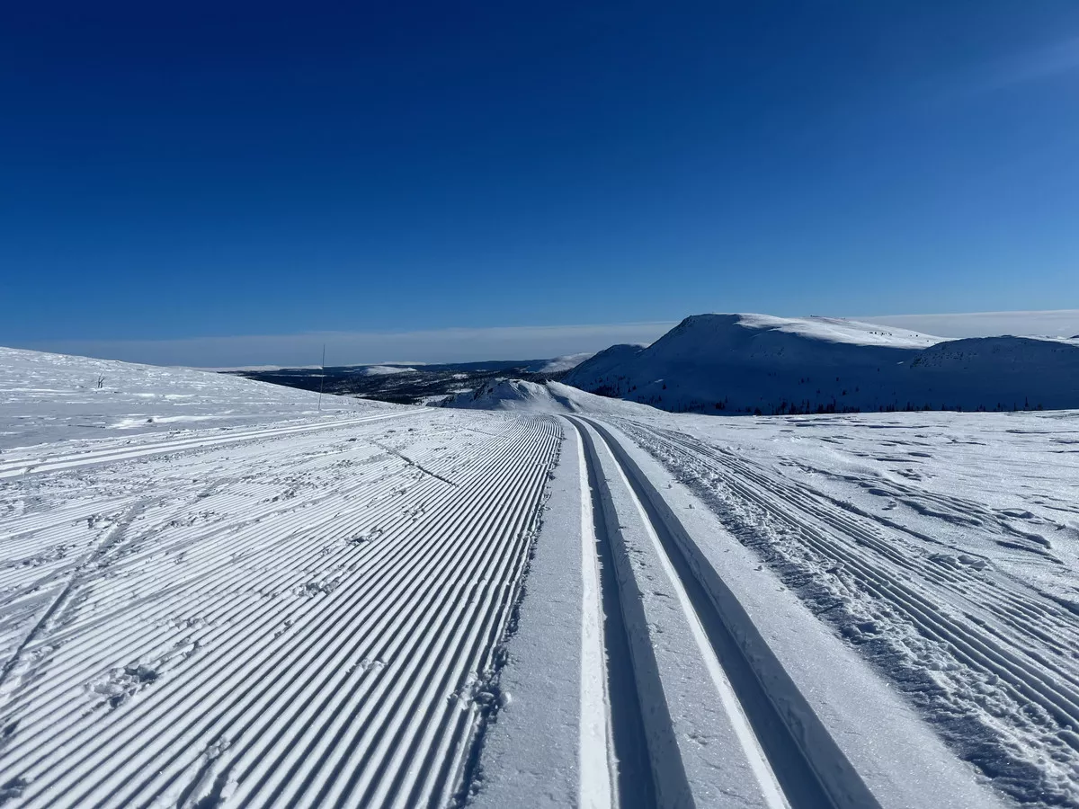 Loipengebiet Venabygdsfjellet (Svartfjellet)