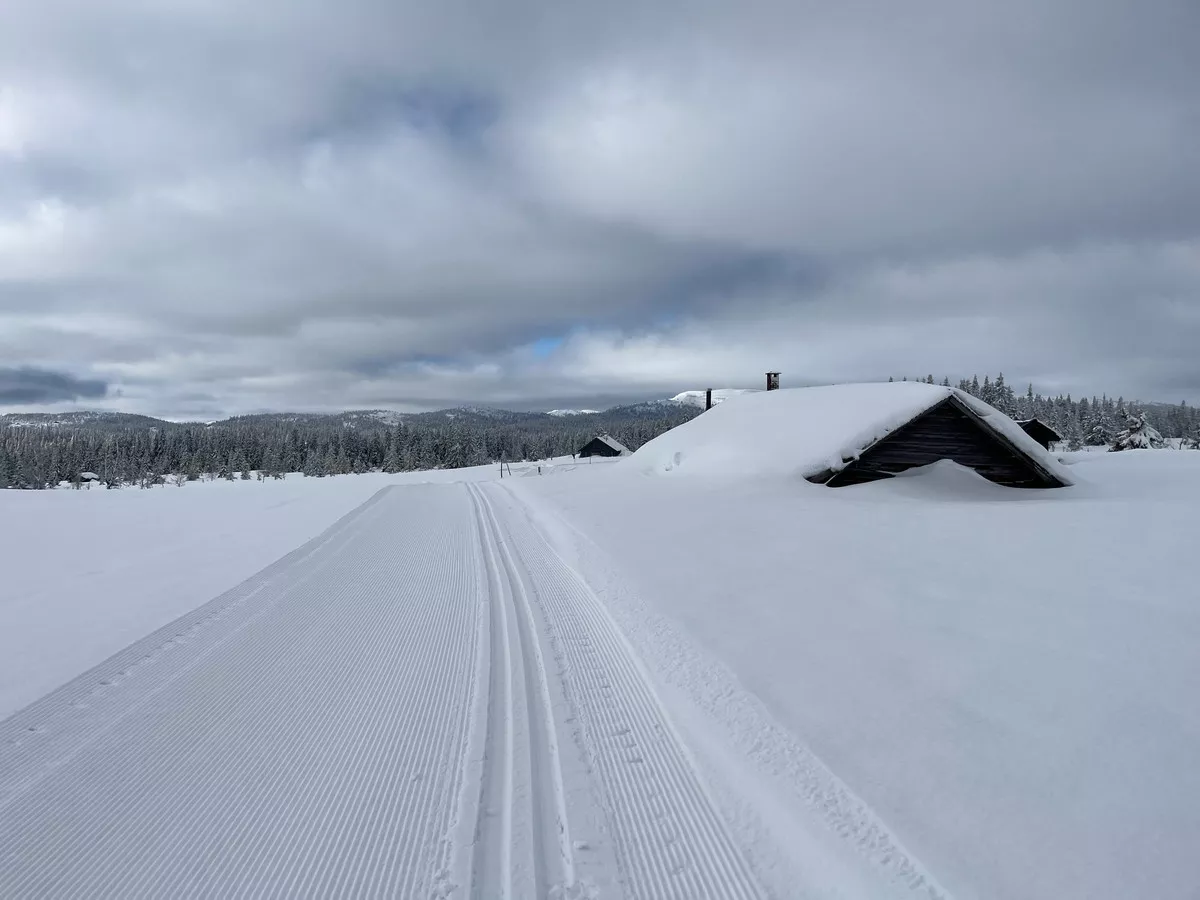 Im Schnee nahezu versunkenes Haus (Altjerna).