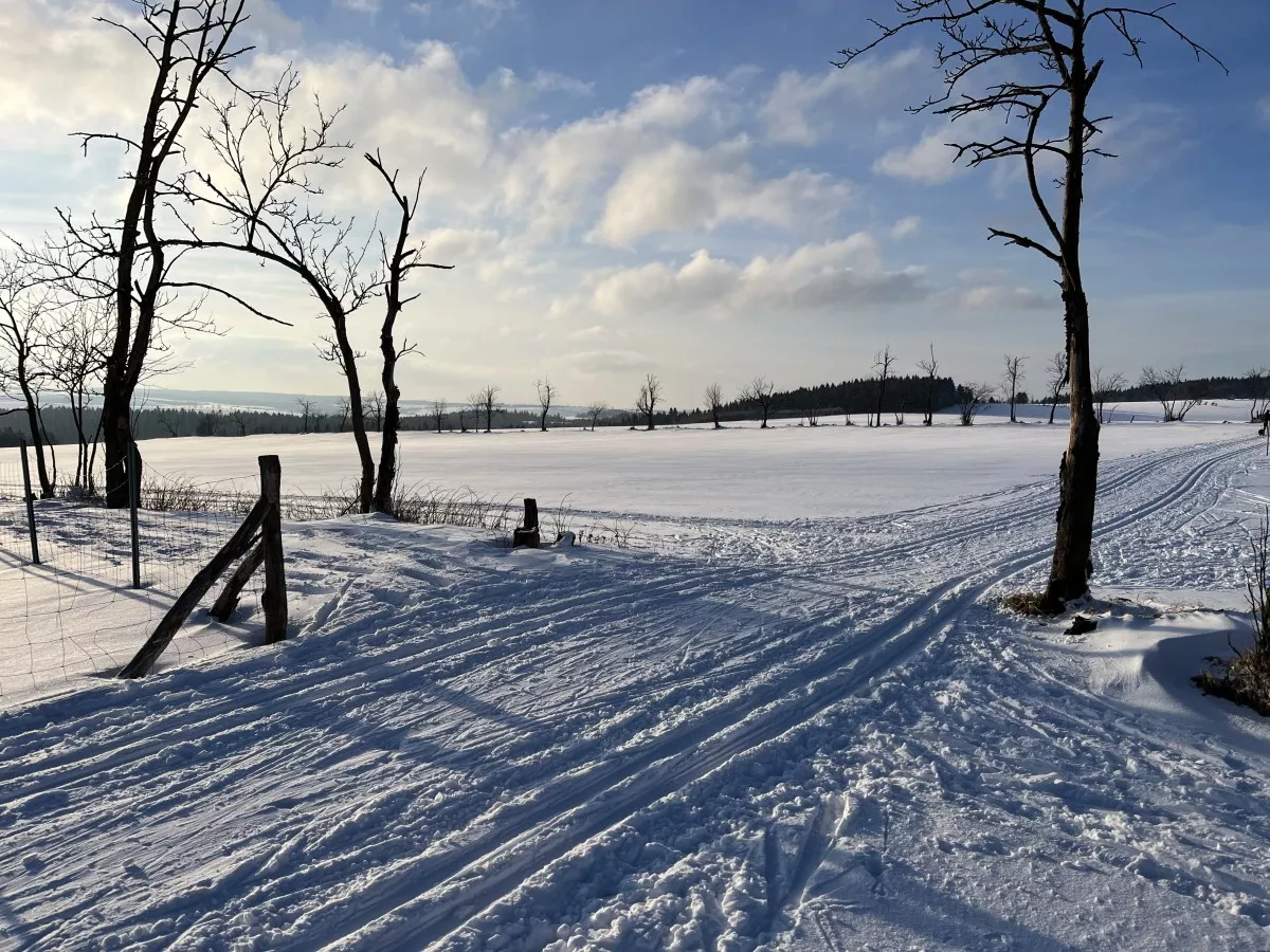 oberhalb-von-schellerhau-2022-02-12