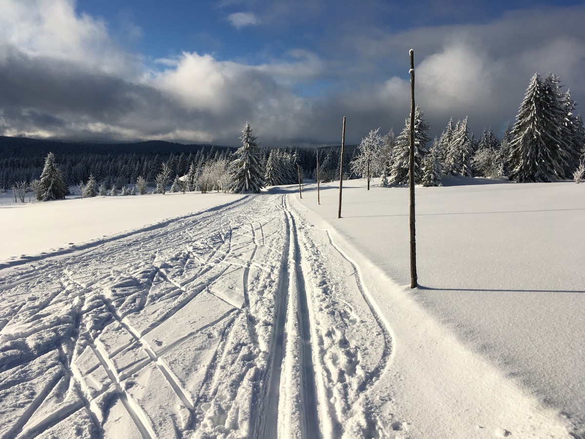 Mit Holzstangen markierte Loipenstrecke