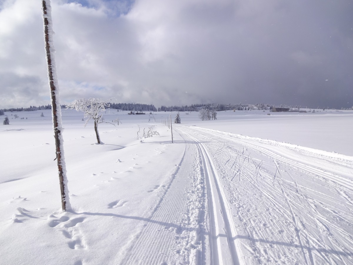 Skimagistrale in offenem Gelände bei Hřebečná (Hengstererben)