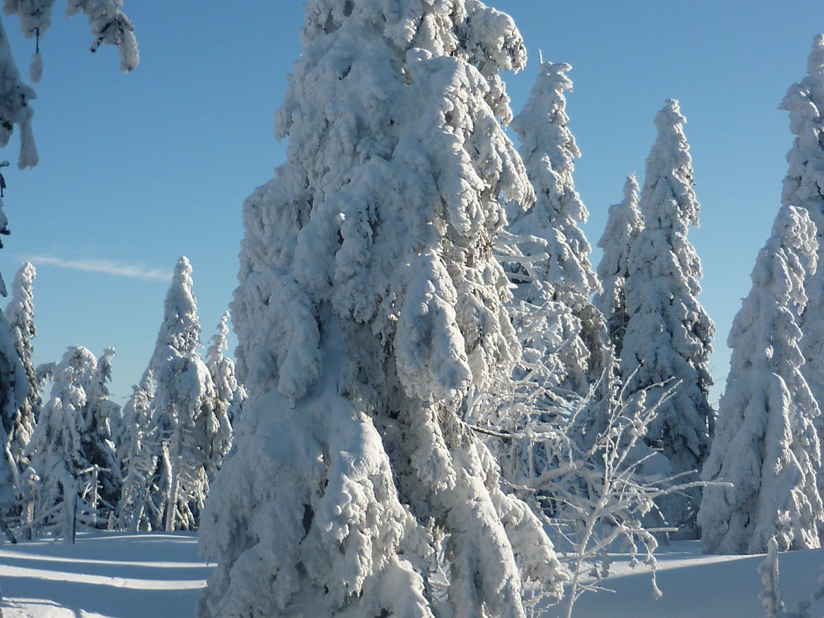 Winterlandschaft am Keilberg