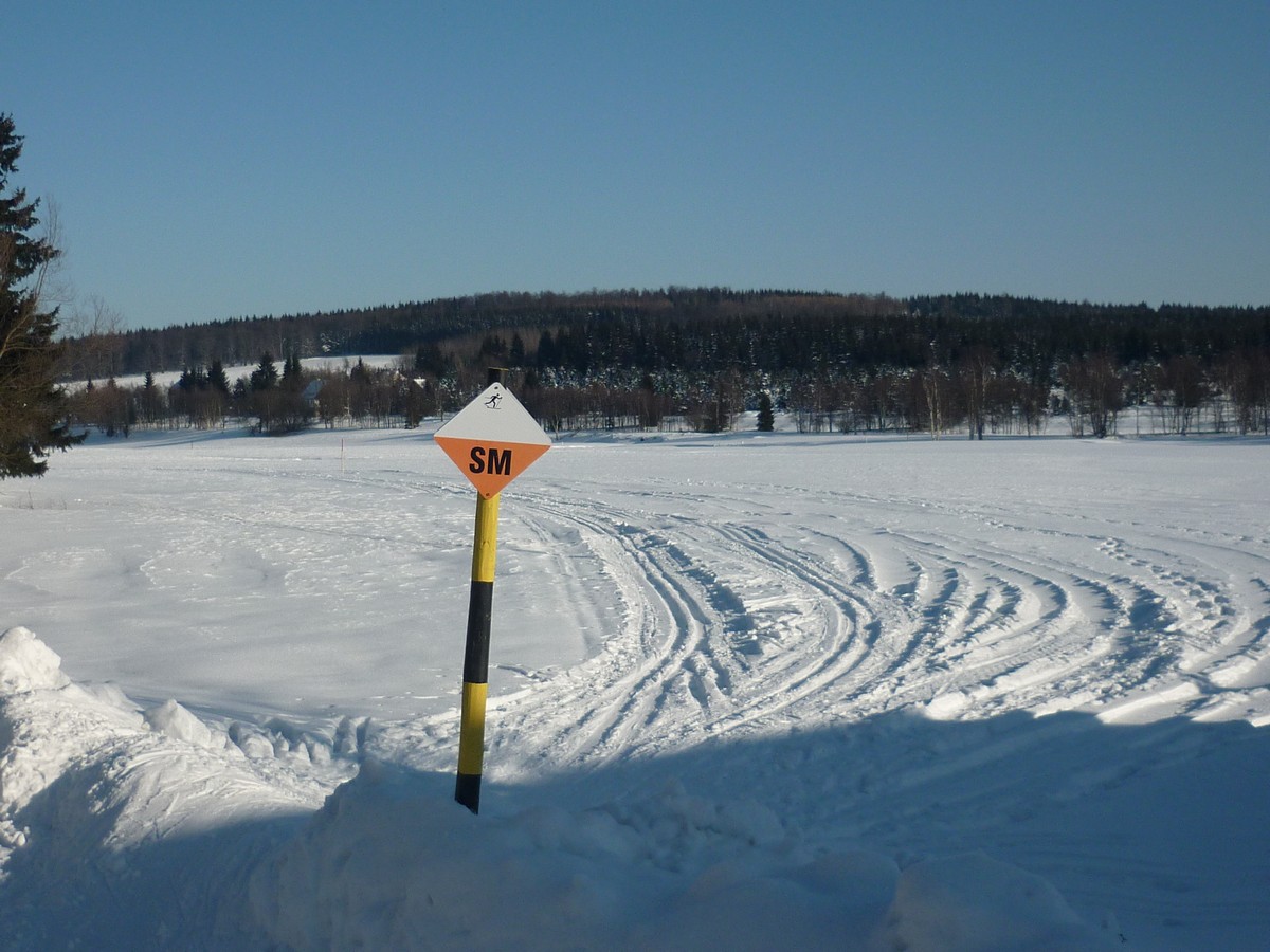 Einfache Loipe auf der Wiese bei Reitzenhain