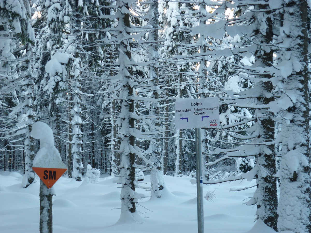 Skimagistrale im Loipengebiet Kühnhaide