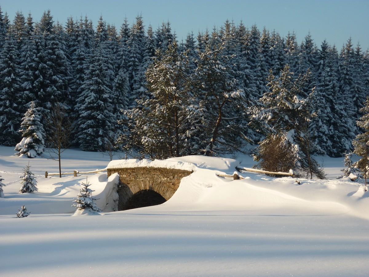 Steinerne Brücke im Schwarzwassertal bei Kühnhaide