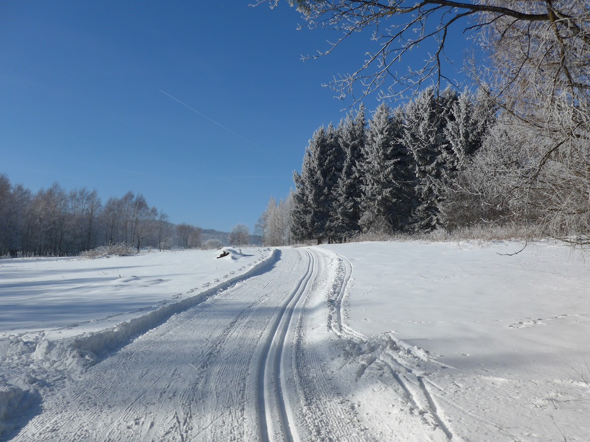 Skimagistrale (KLM) am Sattelberg bei Schönwald