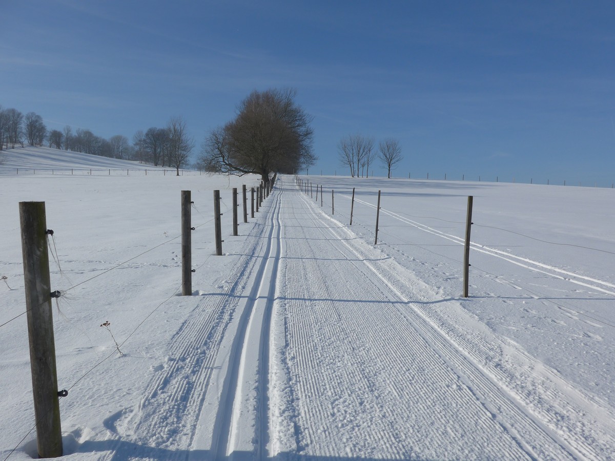 Oberhalb von Petrovice entlang von Weidezäunen